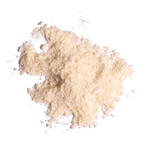 Polymers & Biopolymers